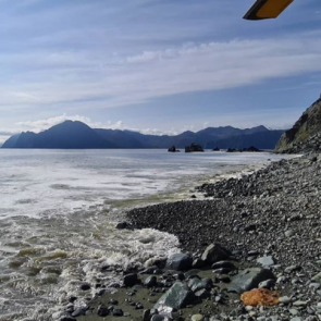 Генпрокуратура нашла в водах Камчатки следы ГСМ. А яды не нашла