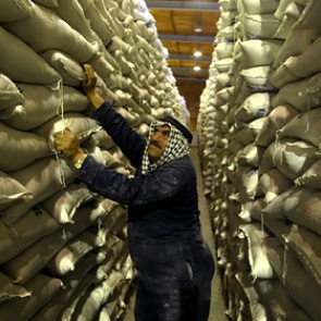 Страны начали запасаться продуктами на случай второй волны коронавируса