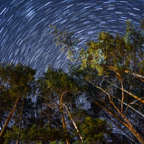 Астрофизик предупредил о столкновении с астероидом накануне выборов в США