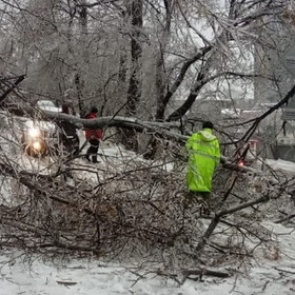 Ледяной дождь во Владивостоке парализовал город