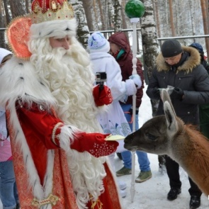 В «Роевом ручье» начала работать заимка Деда Мороза