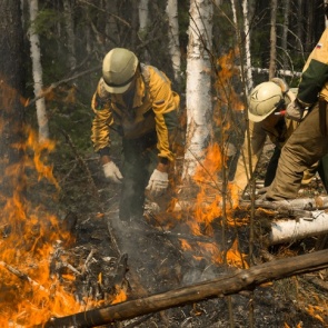 Красноярские ученые выяснили причину летних пожаров в регионе. И дело не в изменении климата