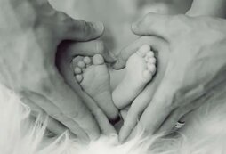 В Красноярском крае полностью восстановили бесплатное ЭКО после 6-месячного перерыва