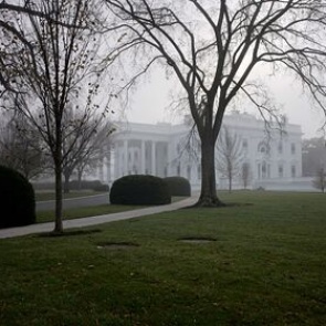 В США решили первыми привить от COVID-19 высокопоставленных чиновников