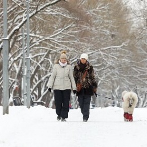 Россиян предупредили об изменении продолжительности времен года