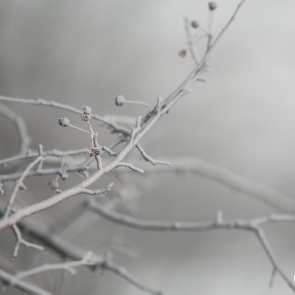 Норильским школьникам разрешили не ходить в школу из-за сильнейших морозов