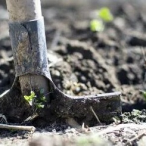 В Красноярском крае будут судить женщину за убийство мужа. За два года она дважды перепрятывала тело