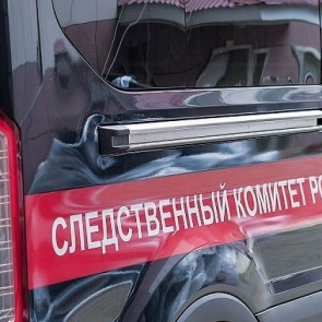 Следователи назвали причину конфликта, из-за которого мужчина до смерти избил жительницу «Покровcкого»