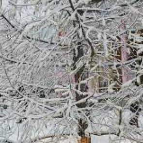 «Такой же долгий экстремальный холод был 14 лет назад»: синоптики прокомментировали погодные аномалии в Сибири