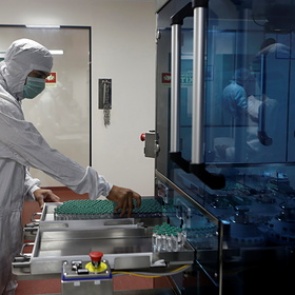 В России разработали препарат из коры березы для профилактики коронавируса