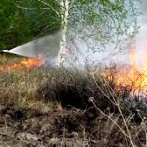 На создание лесопожарного центра в Красноярском крае федерация выделила 5 млрд рублей