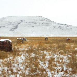 Благодаря соцсетям в Хакасии случайно обнаружили памятник археологии