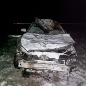 В Туве водитель «Лады» погиб из-за вышедших на федеральную трассу лошадей. Его подруга в больнице