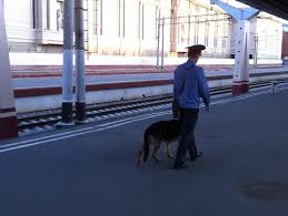 Жителя Ачинска отправили на принудительное лечение за звонок с сообщением о бомбе на вокзале