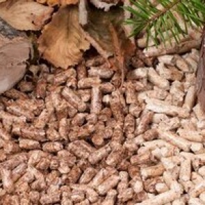 В Красноярском крае построят завод по переработке неликвидной древесины