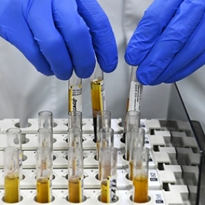 Раскрыт самый распространенный штамм коронавируса в России