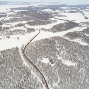 В Красноярском крае руководитель лесничества оформлял лесные участки на подставных лиц и попался