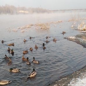 Температура на следующей неделе будет колебаться от ноля до -25