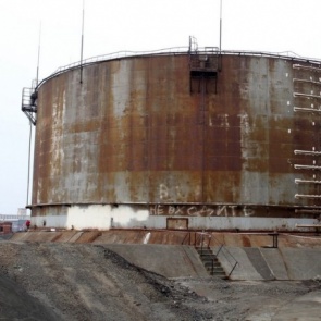 С «дочки» «Норникеля» потребовали оплатить почти 500 млн за гибель животных во время разлива топлива