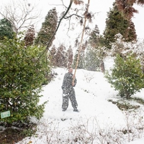 Раскрыта причина аномальных холодов в России