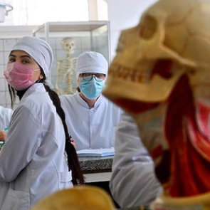 Путин подписал закон о просветительской деятельности в России