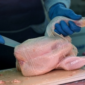 В России заявили о росте цен на курицу и яйца