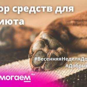 В Ачинске стартовала весенняя неделя добра