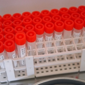 Власти ужесточили правила въезда для прибывающих из-за границы россиян