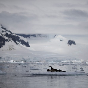 Ученый предсказал «возвращение» Земли на 35 миллионов лет назад