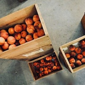 Мясников назвал смертельно опасные для детей летние фрукты