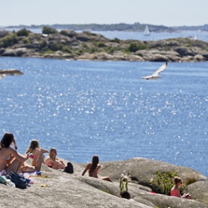 В ООН предрекли рекордно теплый год за всю историю наблюдений