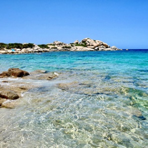 Туристы увезли ракушки с популярного пляжа и едва не угодили в тюрьму