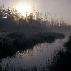 Трое малолетних братьев пропали на реке в Приморье