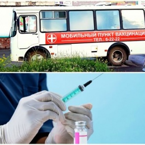 Для удобства дачников будет организована работа прививочного пункта в с/о «Чистый ручей»