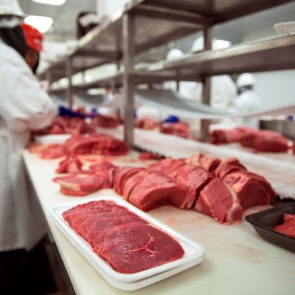 В Ачинске полицейские проводят проверку о ненадлежащем хранения мяса на предприятии