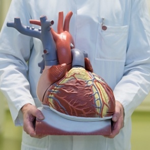 Найден способ предсказать смерть от сердечного приступа