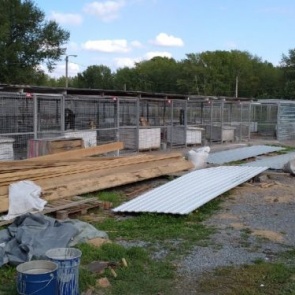 На программу помощи приюту для животных в Ачинске будет направлено свыше 4 млн рублей