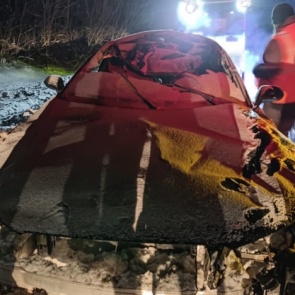 Дорожные полицейские Ачинска устанавливают обстоятельства ДТП, в котором погиб лось