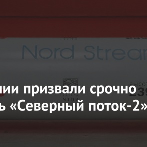 В Германии призвали срочно запустить «Северный поток-2»