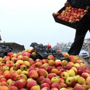 В России предложили запретить уничтожение продуктов