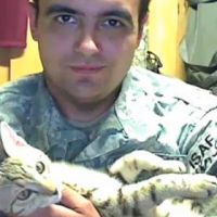 Американский военный вывез из Афганистана кота по кличке Кошка