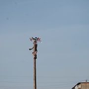 IMG_7659.JPG